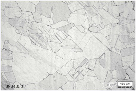 304奧(ào)氏體組織